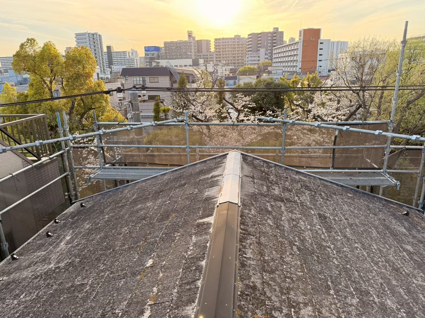 安心して暮らせるための雨漏り修理、東京の相場を徹底解説！
